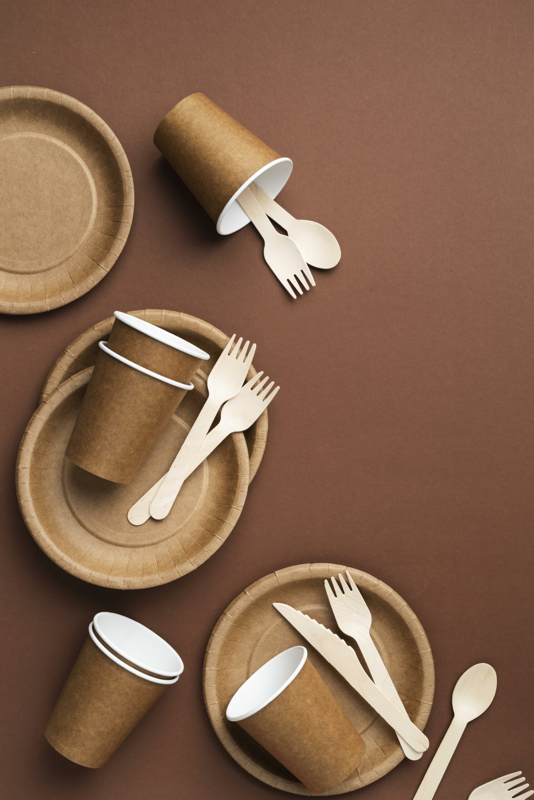 Le carton et le carton compact